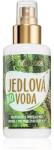 PURITY VISION BIO вода за лице в спрей 100ml