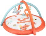Canpol babies Canpol babies, Fox, saltea educativa