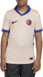 Nike CFC Y NK DF JSY SS STAD AW 2024/25 Póló fn9142-839 Méret L (147-158 cm) fn9142-839