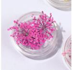  Szárított virág kis tégelyes - pink
