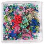  Szárított virág tégelyes S-055-1