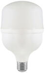 V-TAC Bec Led T100 E27 30W 6500K ALB RECE (SKU-23571) - artledconcept