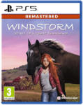 Mindscape Windstorm Start of a Great Friendship Remastered (PS5)