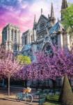 Trefl - Puzzle Premium Plus Photo Odyssey: Cathedral of Notre-Dame, Paris - 1 000 piese