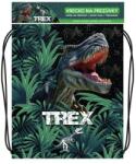 JUNIOR Geanta de pantofi cu imprimeu - Seria 6 - T-Rex