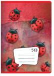 Junior Caiet A5, 10 coli - cu linii 513