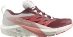 Salomon SENSE RIDE 5 GTX W Terepfutó cipők l47314500 Méret 38 EU