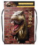 JUNIOR Geanta de pantofi cu imprimeu - Seria 4 - T-Rex