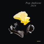 Various Pop Ambient 2024