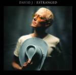 David J Estranged - facethemusic - 7 690 Ft