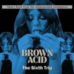 Various Brown Acid: Sixth Trip