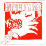 Guided By Voices Same Place the Fly Got Smashed (Red Vinyl)