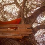 Backseat Lovers Waiting To Spill