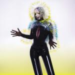 Bjork Vulnicura (Jpn)