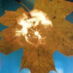 SOYUZ Force of the Wind - facethemusic - 5 190 Ft