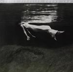 Evans, Bill Undercurrent