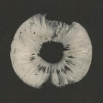 V/A Cycles 2: Cyclic Law's