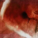 Angles & Elle-Kari Death of Kalypso - facethemusic - 16 690 Ft