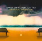 Ramon Van Merkenstein Waiting For a Summer Storm - facethemusic - 8 890 Ft