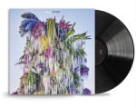 Wilco Cousin - facethemusic - 7 390 Ft