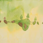 Yes Live At Knoxville Civic Auditorium -Rsd-