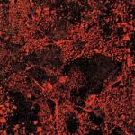 King Gizzard & The Lizard Wizard Murder of the Universe (Live At Red Rocks 2022) (Translucent White Sparkle Vinyl)