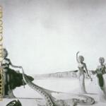 Mephista Black Narcissus