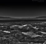 Kangding Ray Hyper Opal Mantis