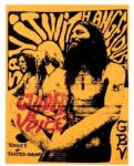 Guided By Voices Tonics and Twisted Chasers