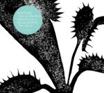 Da Silva, Joao Paulo E River - facethemusic - 7 190 Ft