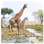  Szalvéta - Zsiráfok
