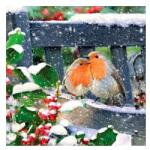  Szalvéta Lovely robins