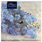  Szalvéta - Nefelejcs