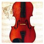 Szalvéta Concerto Violino