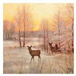  Szalvéta Deer at sunset