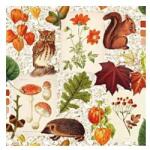  Szalvéta Autumn classic