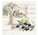  Szalvéta, Olive garden