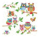  Szalvéta Owls in Summerland