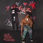 Dc the Don My Own Worst Enemy