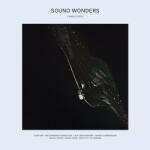 Various Sound Wonders