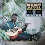 Waters, Muddy Muddy, Brass & the Blues