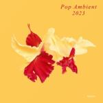 Various Pop Ambient 2023 - facethemusic - 15 290 Ft