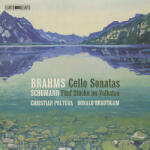 Poltera, Christian & R Johannes Brahms - Robe
