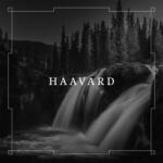 Haavard Haavard - facethemusic - 7 190 Ft