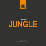 Various Ministry Of Sound: Origins Of Jungle
