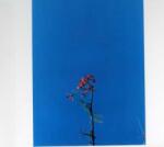 Newsom, Joanna Ep -3tr- - facethemusic - 9 790 Ft