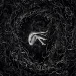 FVNERALS Let the Earth Be. . -Digi-