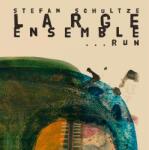Schultze, Stefan Large Ensemble