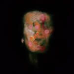 Lanterns On The Lake Versions of Us