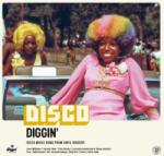 Various Disco Diggin